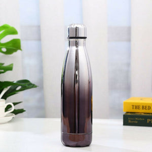 Metal 500ML Water Bottle